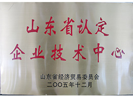 山東省認定企業技術中心2005